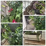 Zajc Apartman